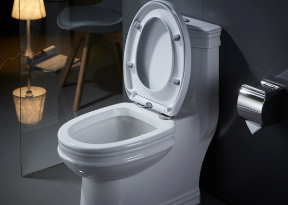 toto�RͰ�_ˮ��ԭ������Щ/�RͰ�_ˮ������ô�z��