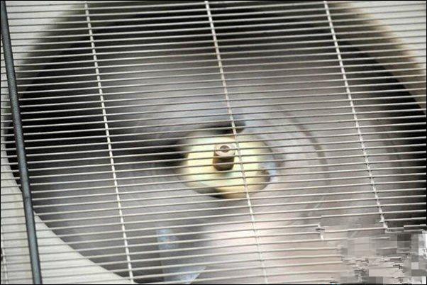 ������{(di��o)�L(f��ng)�Ȳ��D(zhu��n)��ԭ��