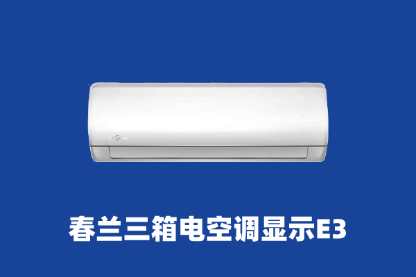 ���{e3��ʲô��˼