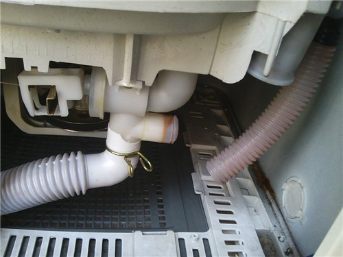 ��ɽ������ϴ�C�����X_�r�񌍻�