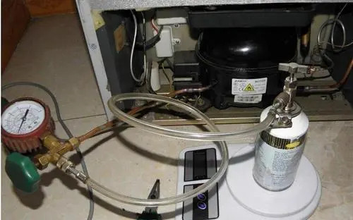 �Ϻ����ӾS�ޱ������T���M�����X_��������S���Ԓ