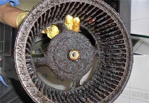 �N����늾S�޷���(w��)�Ԓ_�S���S��